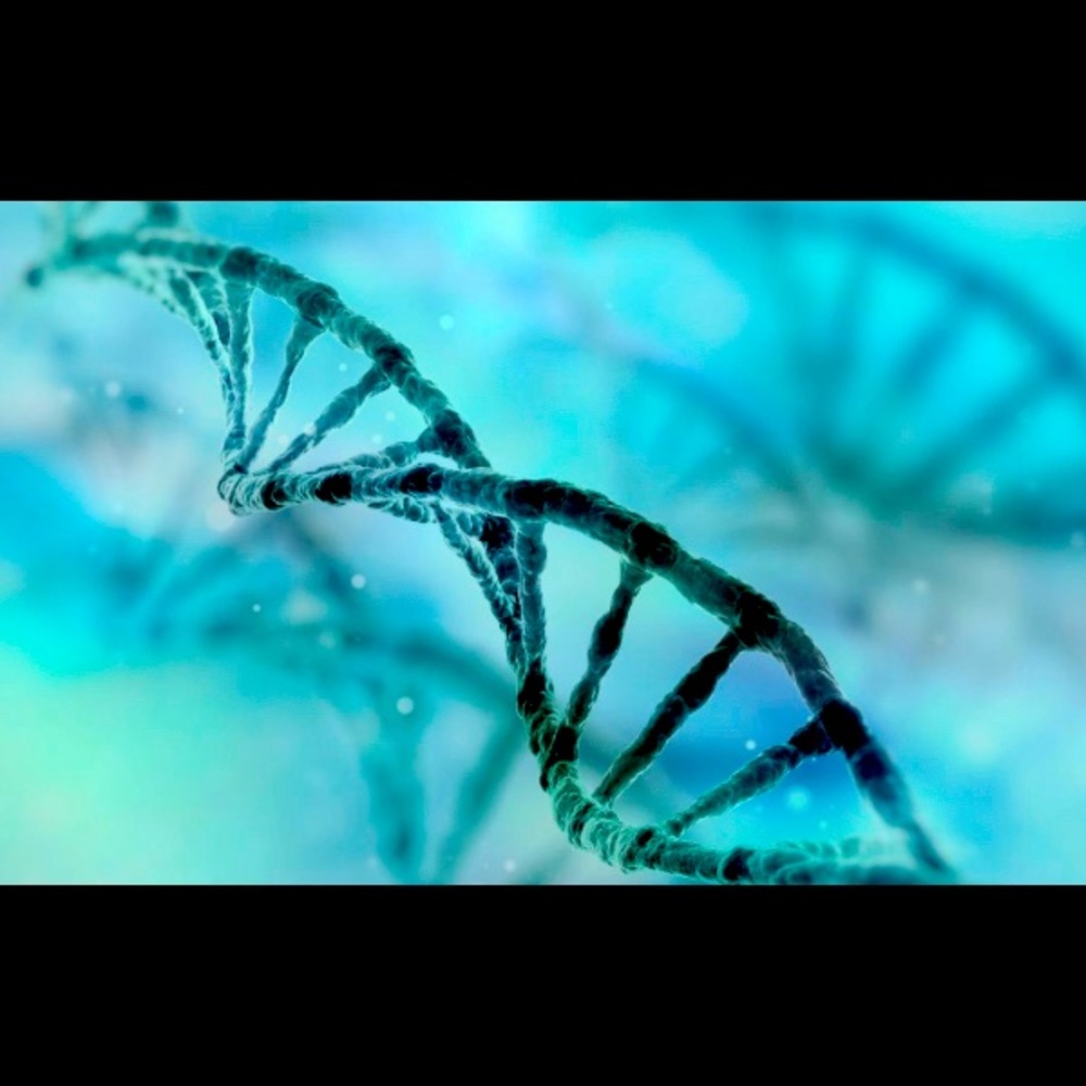 Health coaching, DNA Based Meal and Training Guide